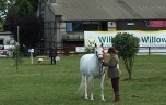 MIDLANDS SHOW with Lisa - SUPREME CHAMPION 2018
