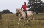 LEHID CLOVER BOY et Alexandra