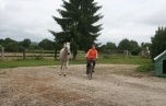 Trotting matinal Mathilde et Sligo de l'Aulne