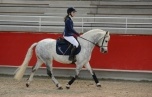 Caoranbeg Champ (Ire) x Noria de l'Aulne