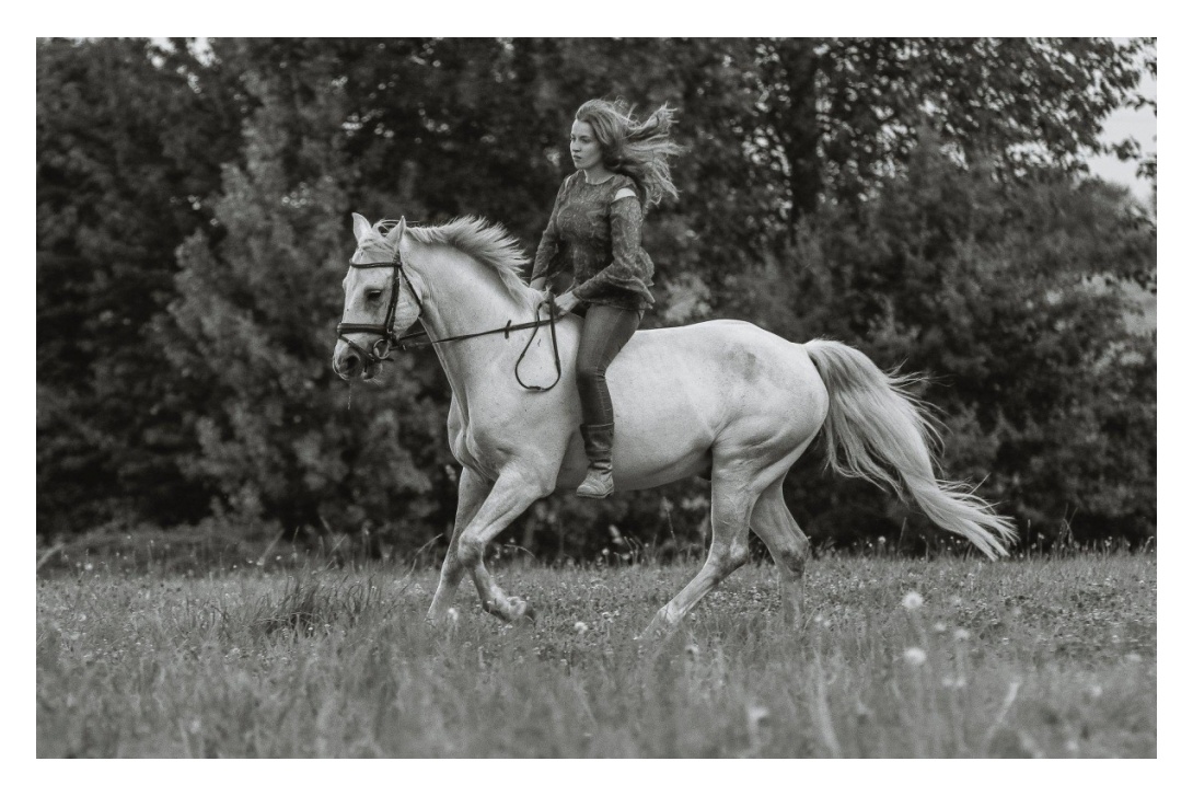 LEHID CLOVER BOY et Alexandra