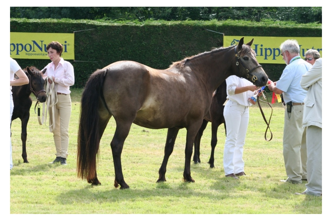 LOR DE L'AULNE - HN LE LION D'ANGERS 2007