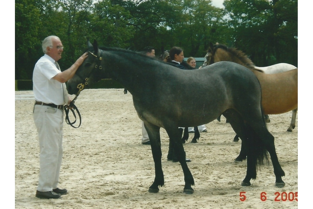 Paola championne junior au Régional Connemara 2005