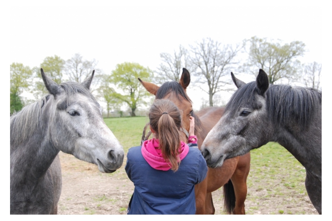 Dhara, Diana, Foulques et Lohane