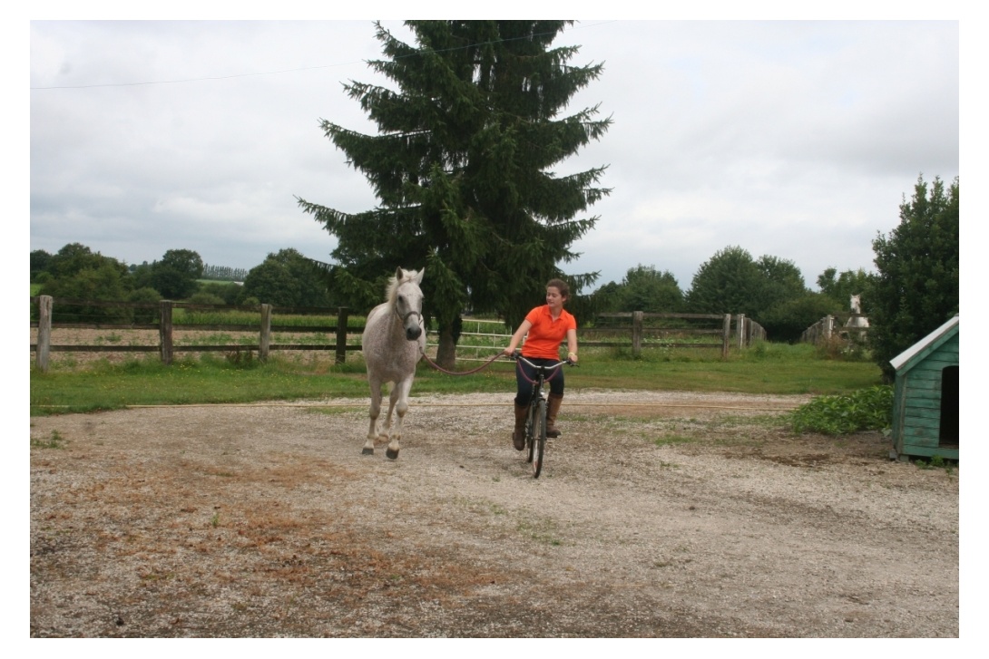 Trotting matinal Mathilde et Sligo de l'Aulne